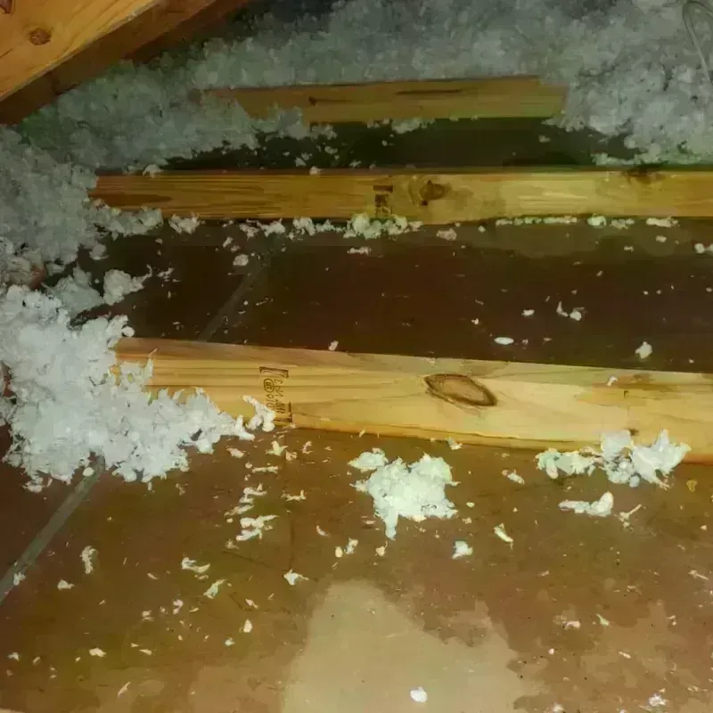 Attic Water Damage in Union County, MS